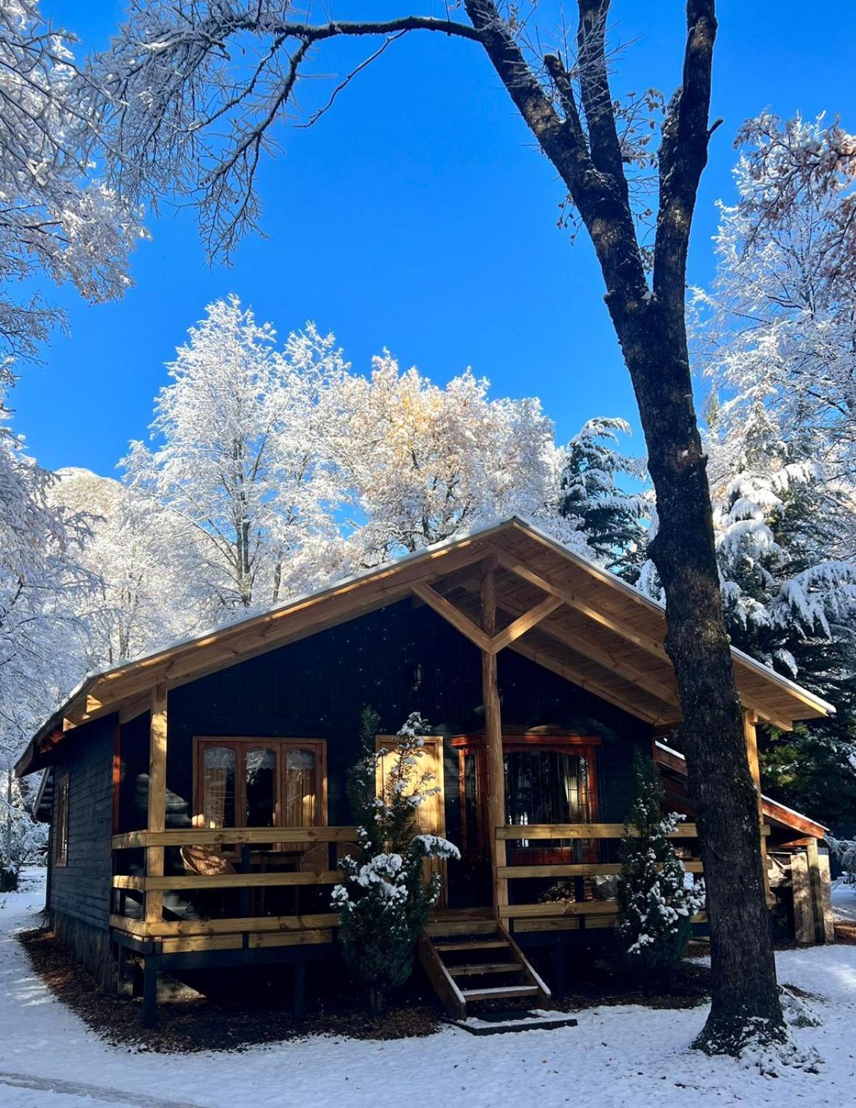 Cabanas Bosque Лас Транкас Экстерьер фото